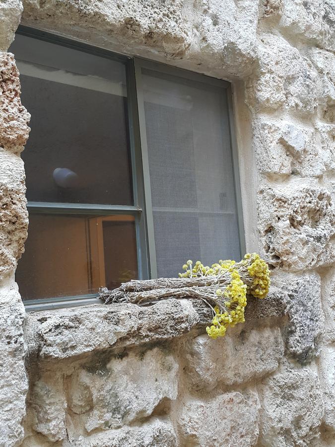 The House Of Taly & Erez Hotel Netaim Exterior photo
