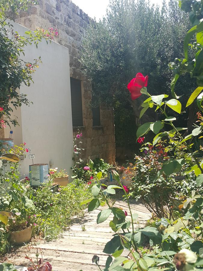 The House Of Taly & Erez Hotel Netaim Exterior photo