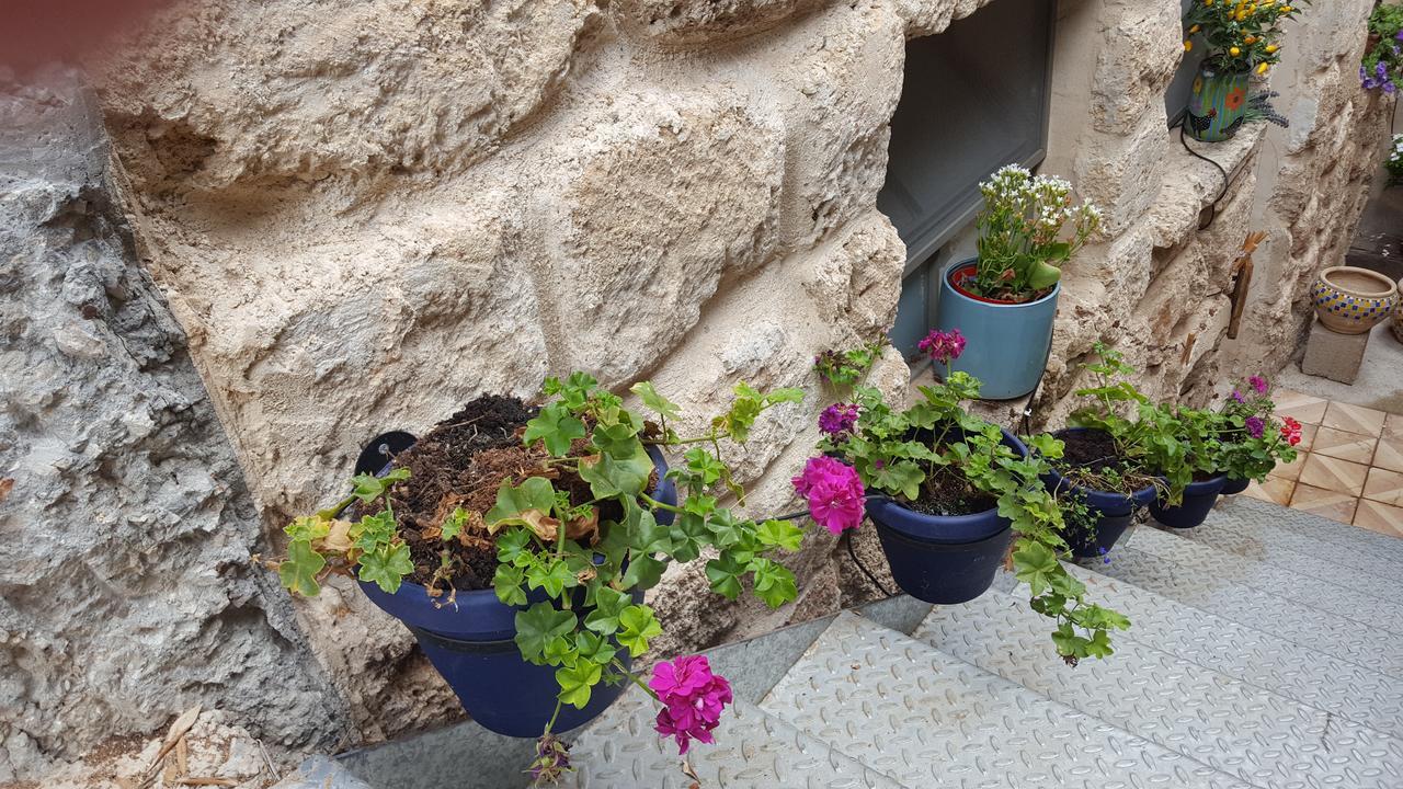 The House Of Taly & Erez Hotel Netaim Exterior photo