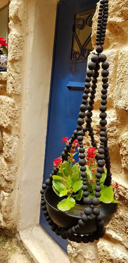 The House Of Taly & Erez Hotel Netaim Exterior photo
